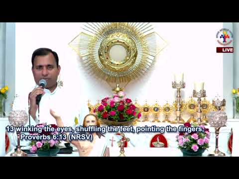 Dewfall 577 - what kind of person are you?