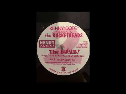 Kenny Dope Presents the Bucketheads, These Sounds Fall Into My Mind