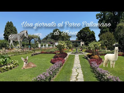 GIORNATA AL PARCO PALLAVICINO | vlog tra alpaca e relax dallo studio