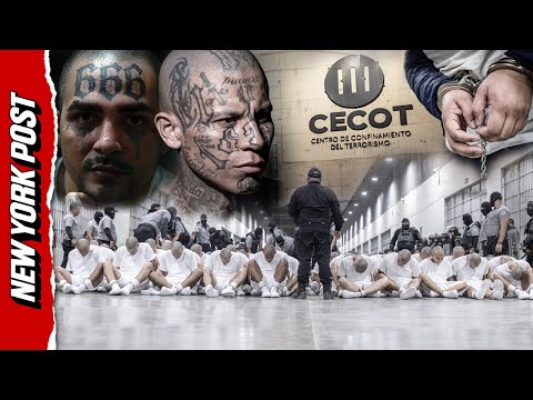 What to know about CECOT – after 60 Minutes YANKS segment on the notorious El Salvador prison