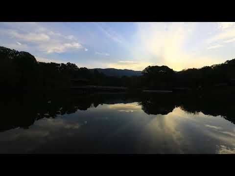 nara 1min008nara narapark