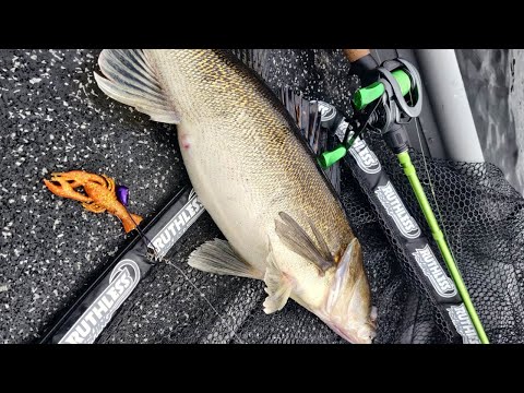 JIGIKALASTUSTA KIVIKOSTA | TESTATAAN TOKYO RIGIÄ KUHILLE | KUHAN KALASTUS