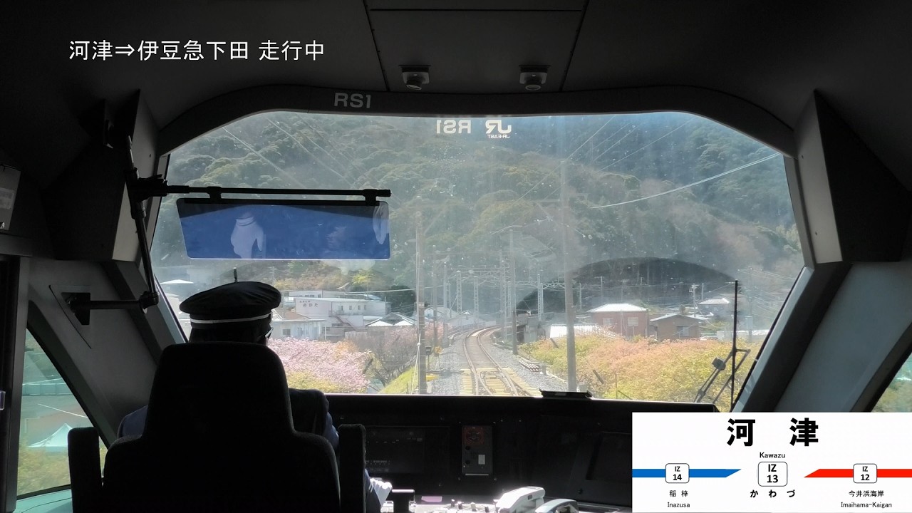 【前展望】河津桜開花 特急サフィール踊り子１号 東京～伊豆急下田