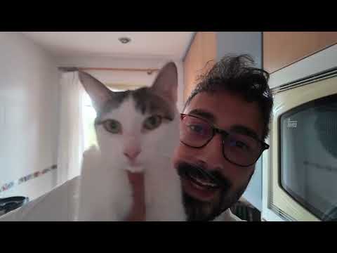 Septiembre con S de Sonia y Selena