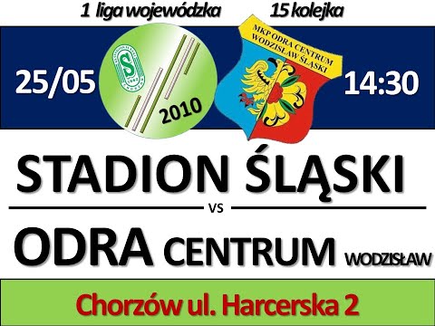 (HD) STADION ŚLĄSKI 2010 - ODRA CENTRUM WODZISŁAW ŚLĄSKI 2010 - 1 liga - 1:3