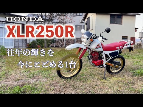 ホンダ【MD16 1985年 XLR250R】往年の輝きを今にとどめる1台