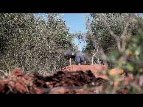 One morning in under a minute: Ryan Lloyd