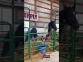 Kossuth County Fair