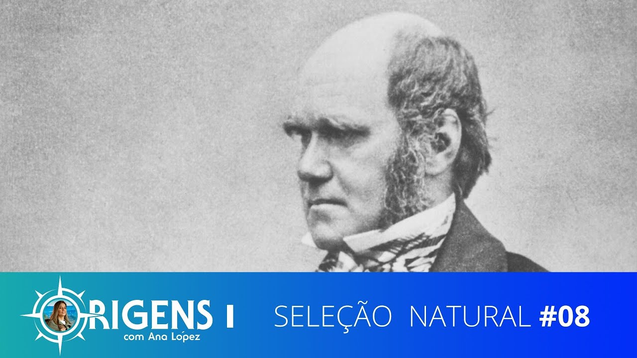 Seleção Natural | ORIGENS [TEMP 09 - EP 08]