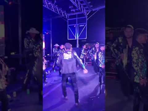 La ingenua - Super Banda Pajaritos De Tacupa Michoacán