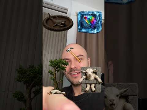 ESSE PATO É BURRO KKKK