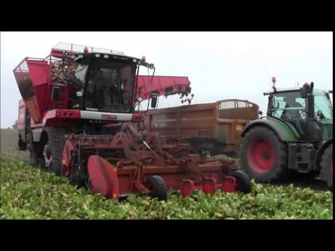 Agrifac sugarbeet harvesting.2014.wvm