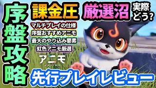 【アニモ】序盤攻略🔰面白いのか!?課金要素,おすすめアニモ,効率良い進め方,虹色アニモ入手方法,厳選のやり方,シャイニーポッド買い方！究極のコレクションゲーを先行プレイレビュー【Aniimo】