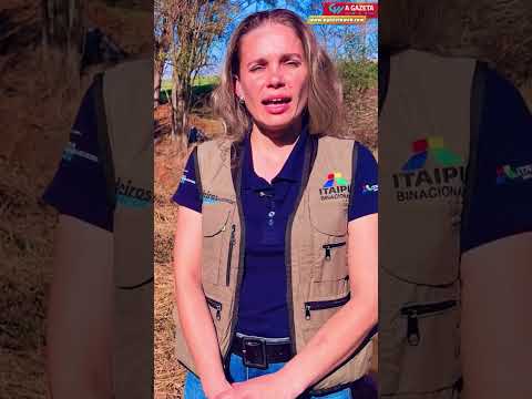 🌎✨ DO INTERIOR DO PARANÁ PARA O MUNDO!