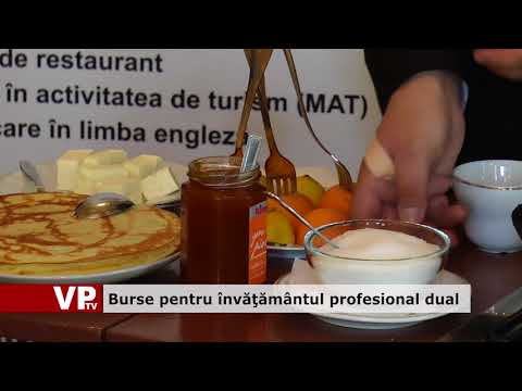 Burse pentru învățământul profesional dual