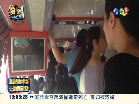 擠沙丁魚! 壽山動物園接駁車超載