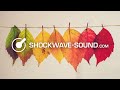Autumn Skies by Chill Purpose
