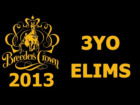 2013 Breeders Crown Elims - All 3 Year Olds