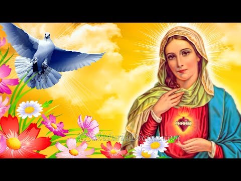 LOS PECES EN EL RIO (Villancico Navideño)