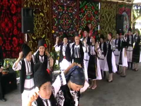 29 - DANSURI SILIVASU DE CAMPIE - CUNUNA SPICULUI DE GRAU CRAIESTI -2010