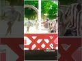 Vijaykanth Dhanush Ilayarajabgm Ilayaraja Malaysiavasudevan Fullscreenstatus Ilayarajasongs