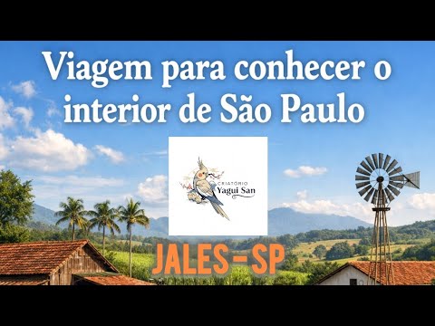 FINAL DE ANO NO INTERIOR DE SÃO PAULO JALES-SP FAZENDA, ANIMAIS.