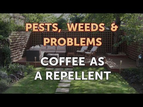 Coffee As a Repellent