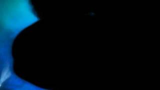 The Subways Always Tomorrow