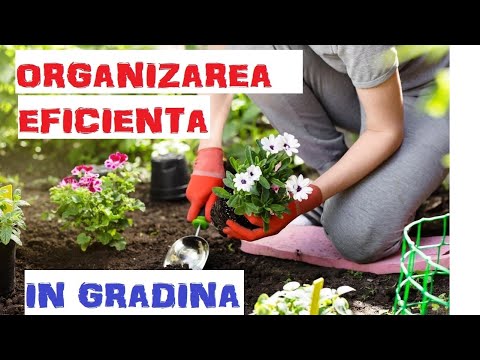 , title : 'Organizarea eficientă a lucrărilor în grădină. Lucrări utile vs. Lucrări inutile'