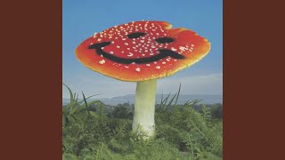 Wonderland (Nathan Melja Version)