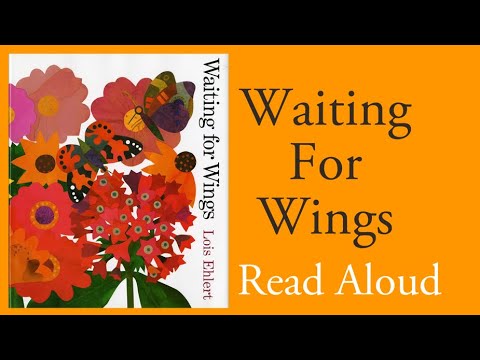 Waiting for Wings- Read Aloud | Lois Ehlert