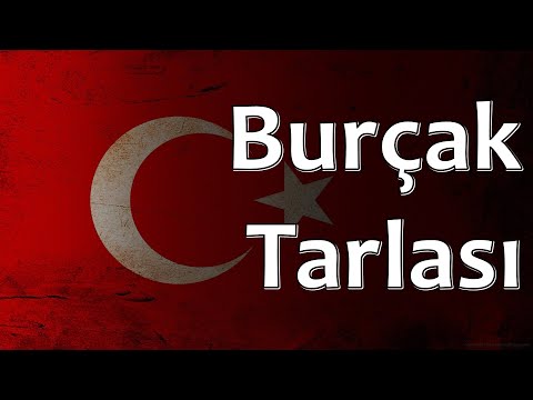 Turkish Folk Song - Burçak Tarlası (The Vetch Field)