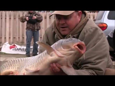 Populare cu crap la Trofee Păușești