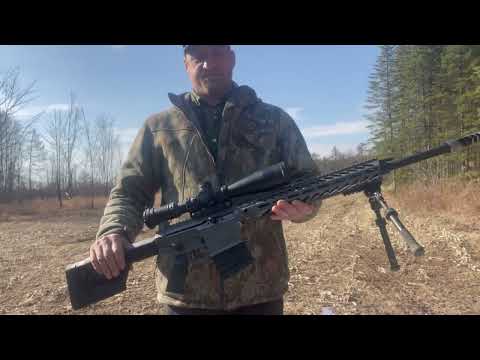 Range Report: NEMO Arms Omen - An AR style rifle chambered in .300 Win Mag