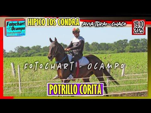 POTRILLO CORITA Avia Terai CH 19 10 2025