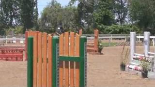 Teddy-Horse and Hound Medal