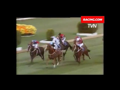 1985 Golden Slipper Rory's Jester