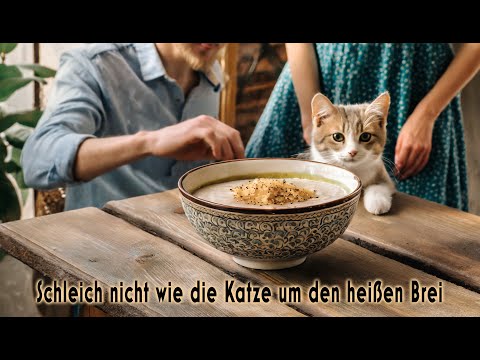 Karin Prohaska; „Schleich nicht wie die Katze um den heißen Brei“