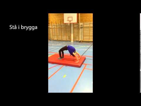 Stå i brygga