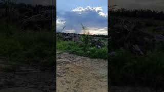 Download lagu info ngaret bolo #lucu #ngaret #viral #shorts mp3