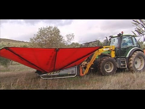 Reportaje televisivo - Finca la Torre ONE First Harvest Limited Edition BIO Arbequina 500ml