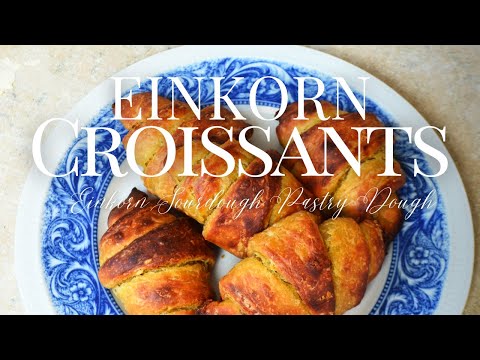 Einkorn Croissants | Sourdough Croissants | Ancient Grains Baking | Einkorn Flour Recipes