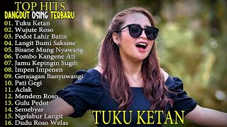 Download lagu TUKU KETAN DINI KURNIA FULL ALBUM LAGU DANGDUT KOPLO BANYUWANGI! BISA KOPLO mp3