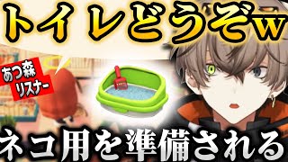【あつ森】リスナーの島を十分に楽しみながらも数々のおもてなしに驚くアルバーン【 アルバーン・ノックス / NIJISANJIEN/にじさんじ切り抜き/日本語字幕】
