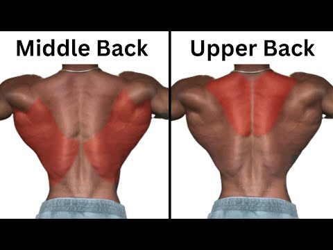 Top 4 Exercises to Build Upper Back and Middle Back Fast(Traps and Back)