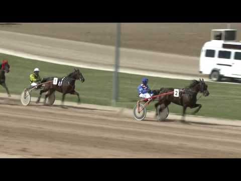 2017.04.08. 1. futam - DIÓS DÍJ