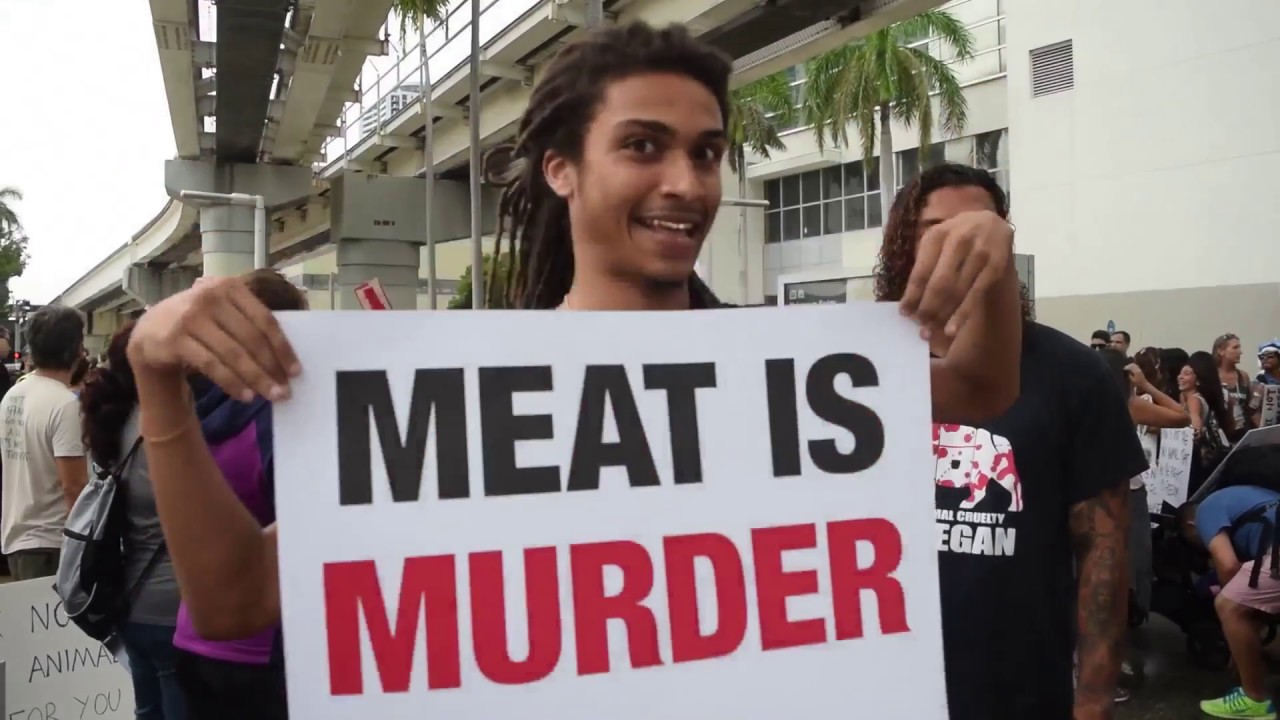 BISON TV #VEGANARCHY video thumbnail