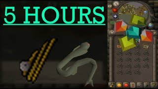 Loot from 5 hours of fishing ZULRAH scales (Sacred eels) - OSRS