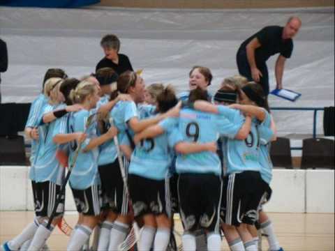 FBC Göteborg Challengers Säsongen 2008-2010