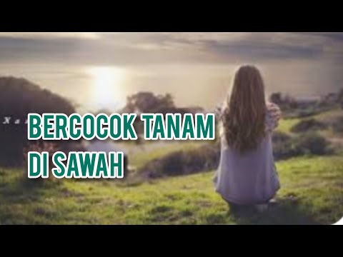 BELAJAR MENANAM PADI DI SAWAH